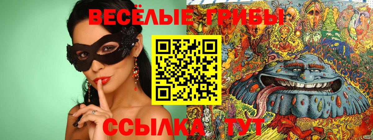 Псилоцибиновые грибы Psilocybine cubensis Надым
