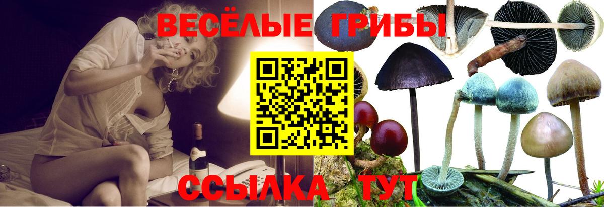Галлюциногенные грибы прущие грибы  Вход с VPN  Надым  Псилоцибиновые грибы прущие грибы 